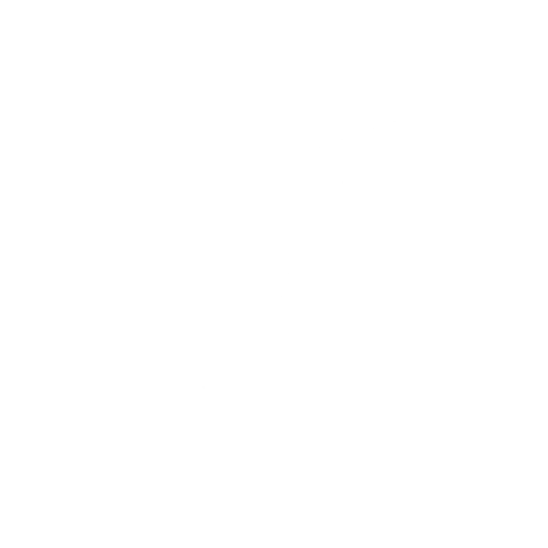 1X1_LOGO-CUPRA-WHITE