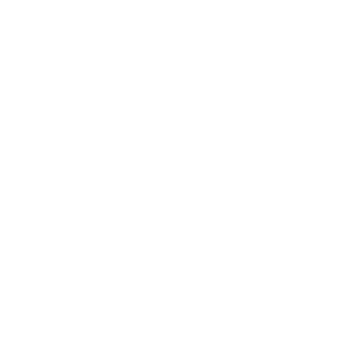 1X1_LOGO-LIGA-F-WHITE